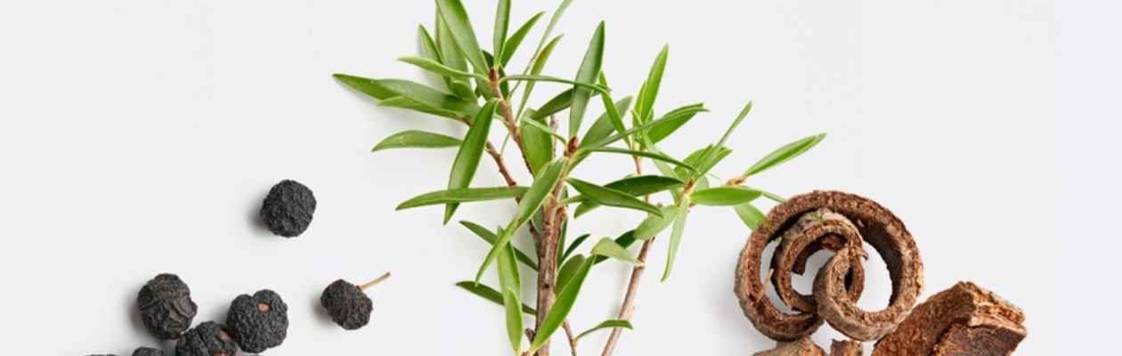 Clear, Balanced, Confident Skin with La Biosthétique Méthode Clarifiante