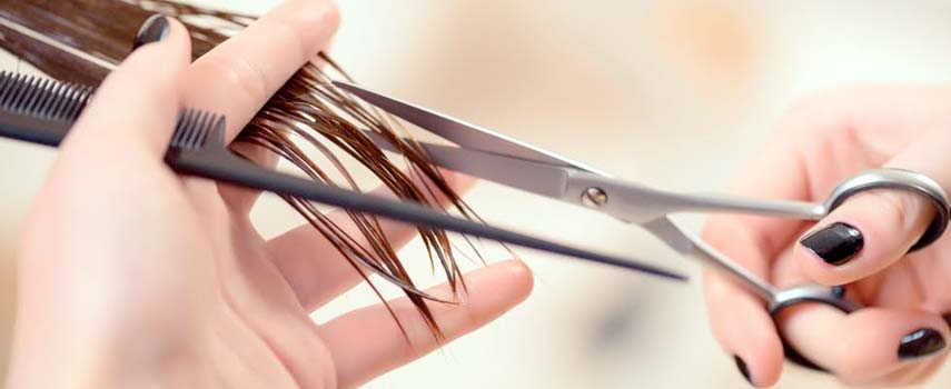 Split Ends